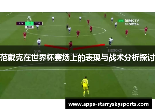 范戴克在世界杯赛场上的表现与战术分析探讨