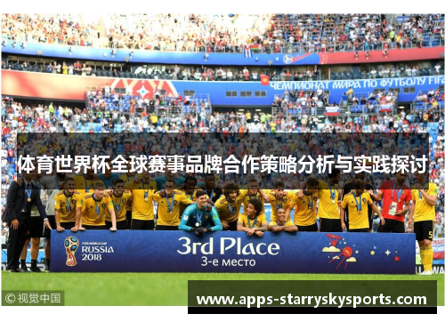 体育世界杯全球赛事品牌合作策略分析与实践探讨