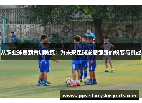 从职业球员到青训教练：为未来足球发展铺路的蜕变与挑战
