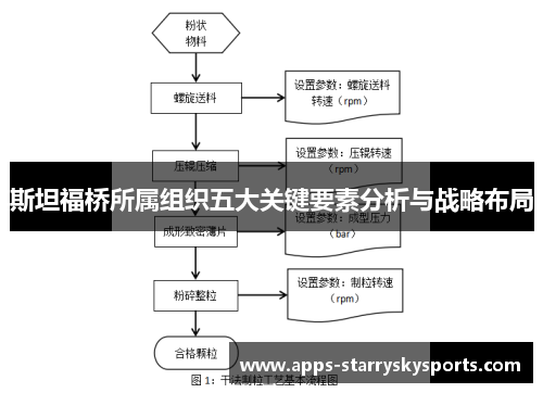 斯坦福桥所属组织五大关键要素分析与战略布局